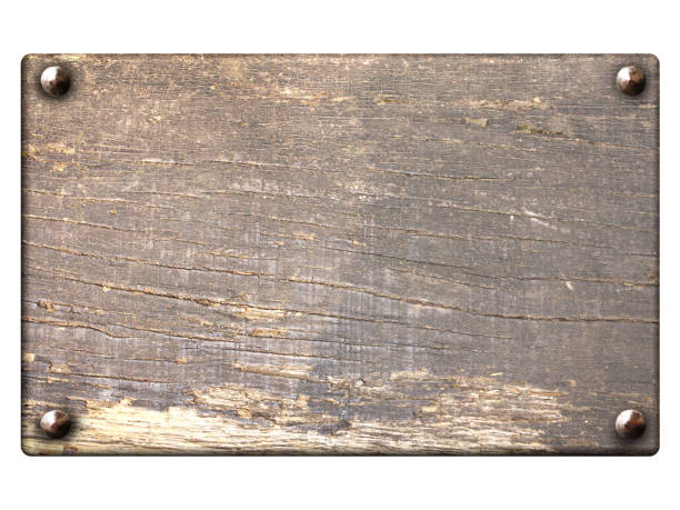 istock Old wooden plank with vintage nails 1095557642
