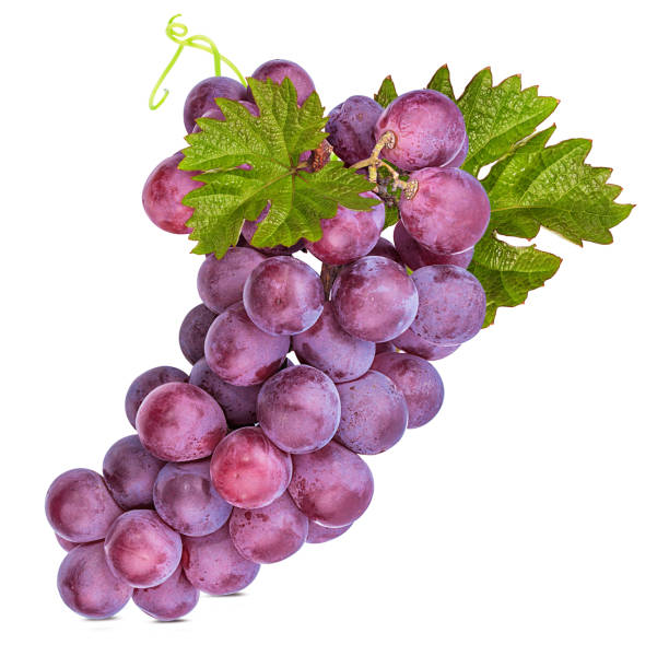 istock Purple grapes with leaves isolated on white background with clipping pass 1095560886