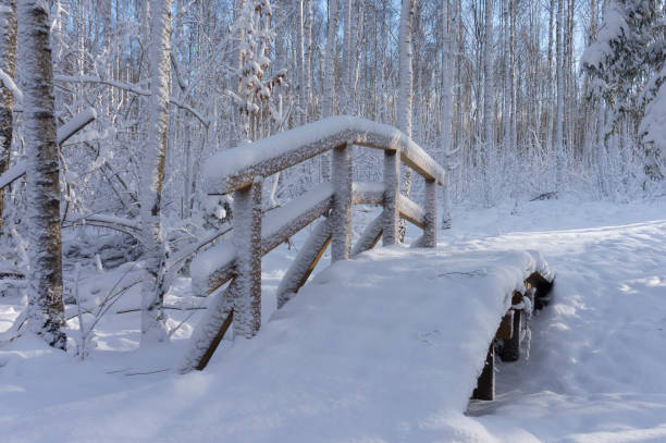 istock Pretty snow covered arched bridge over a stream 1095564036