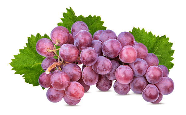 istock Purple grapes with leaves isolated on white background with clipping pass 1095566778