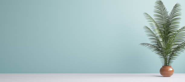 Empty interior background, room with turquoise wall and potted flower