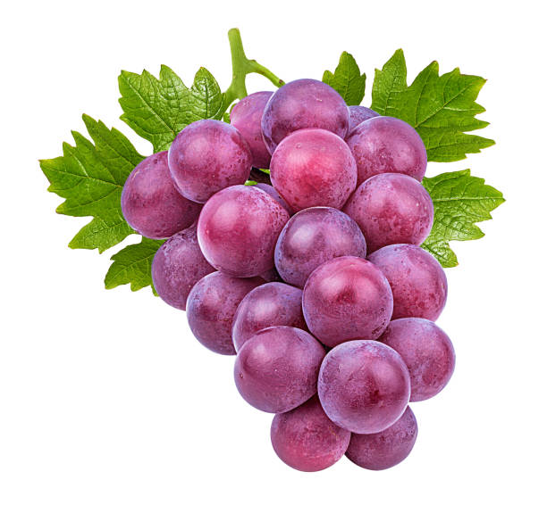 istock Purple grapes with leaves isolated on white background with clipping pass 1095569116
