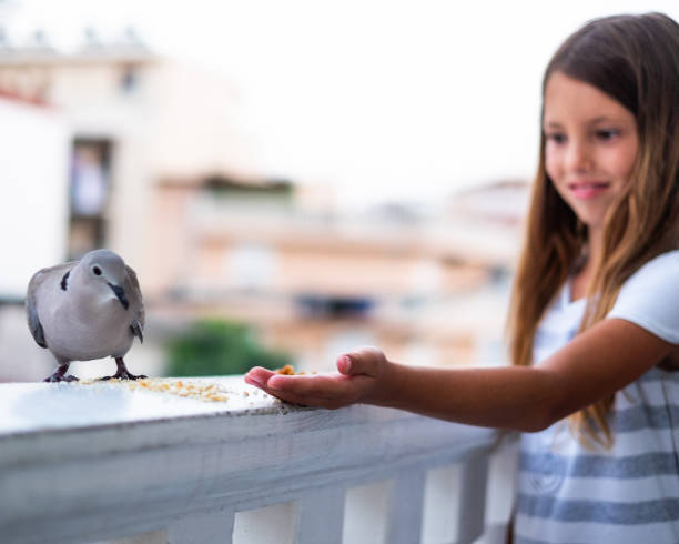 istock Girl love birds 1095569284