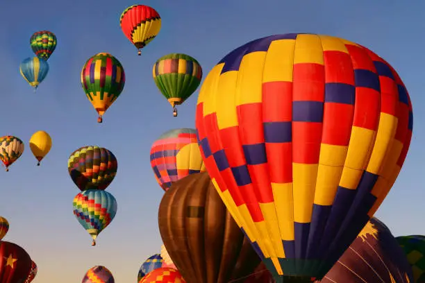 Hot air balloons taking off in the early morning sunlight at the Albuquerque Balloon Festival