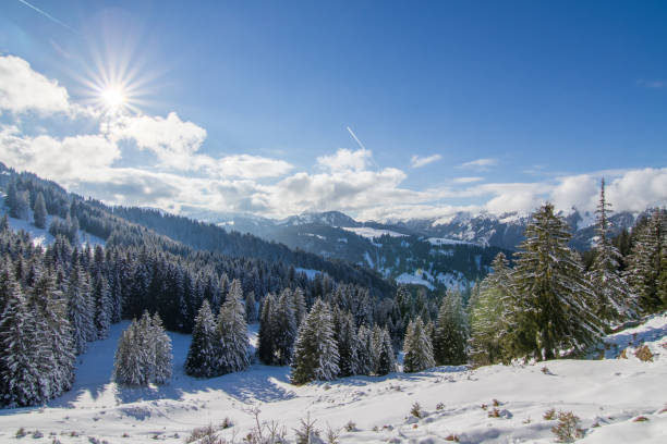 beautiful winter panorama on a sunny day in the mountains with clouds over the horizon