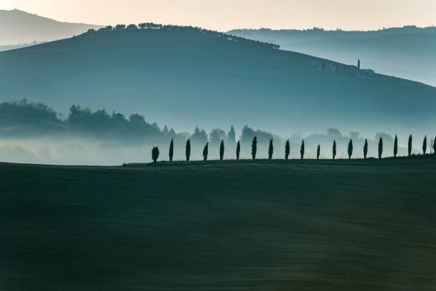 scenic tuscany landscape at sunrise, val d'orcia, italy,europe - val dorcia imagens e fotografias de stock
