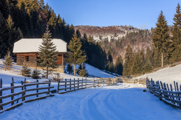 traditional house in Fundatica village. Brasov county, Romania
