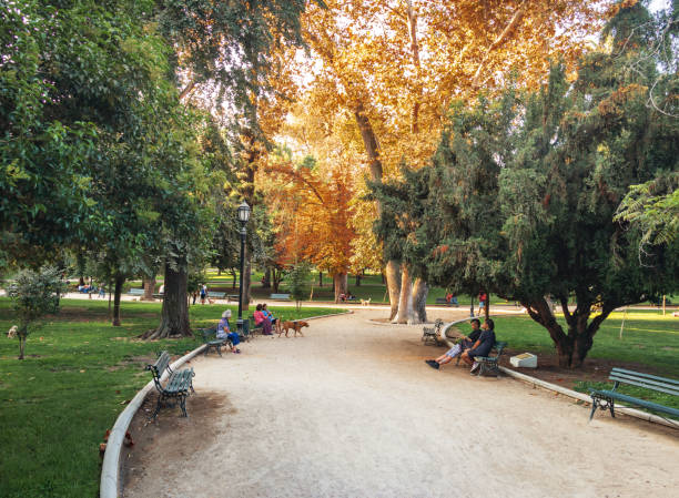 forestal park dans le centre-ville de santiago - santiago, chili - chilean culture chile forest the americas photos et images de collection