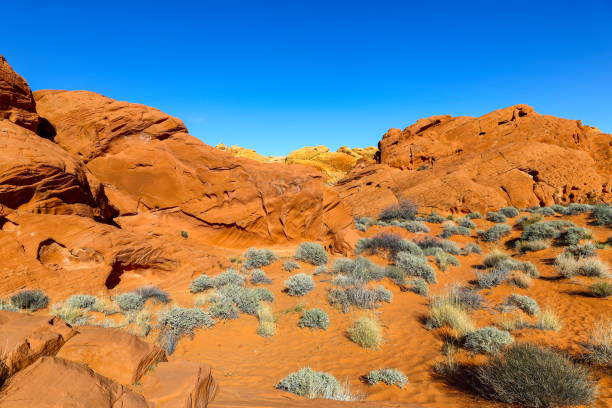 istock Valley of Fire State Park, Nevada-USA 1095582772