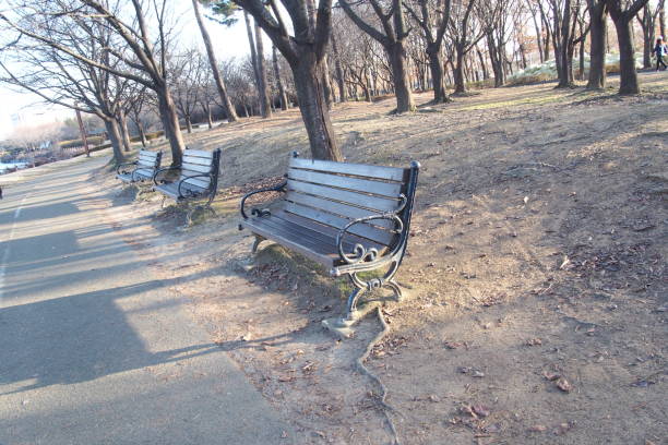 istock There is a chair in the park. Let's not sleep. 1095583920
