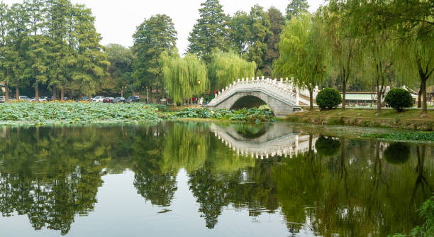 Bridge and surrounding tree reflected in water in East Lake, Wuhan, China stock photo