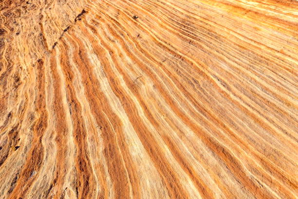 istock Fire Wave at Valley of Fire State Park, Nevada-USA 1095590402