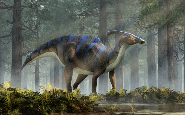 Parasaurolophus in a Forest stock photo