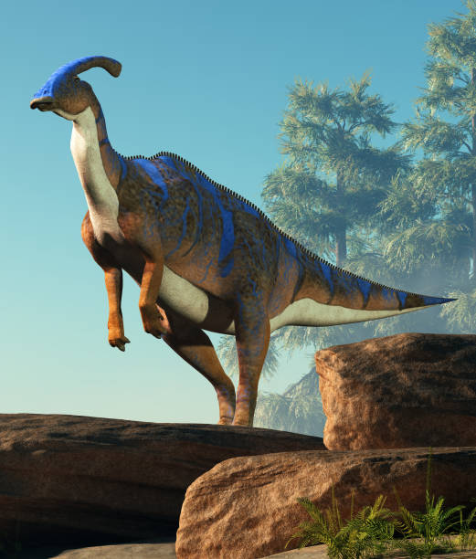 istock Parasaurolophus Standing on Rocks 1095591068