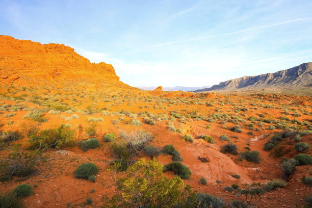istock Valley of Fire State Park, Nevada-USA 1095591470