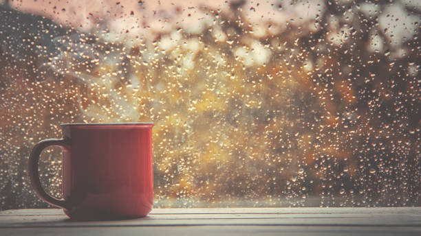 A cup of tea. Hello, autumn. Selective focus Comfort