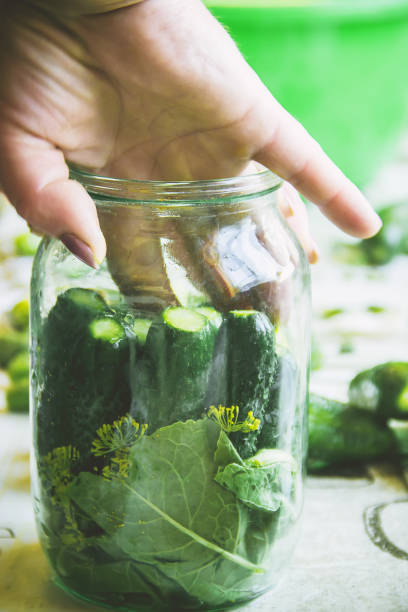 istock preservation of fresh house cucumbers. Selective focus. 1095594572