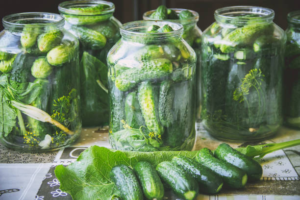 istock preservation of fresh house cucumbers. Selective focus. 1095594580