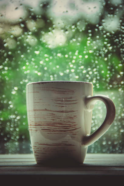 istock A cup of tea. Hello, autumn. Selective focus Comfort 1095594664