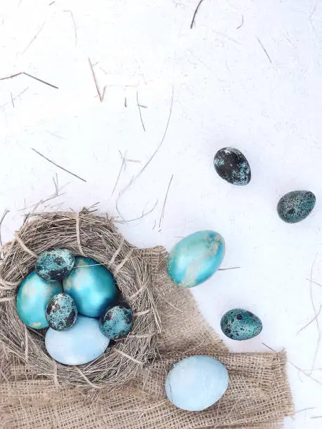 Photo of Composition with painted blue chicken and quail eggs in the nest.