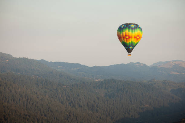 istock Hot air balloon Above Napa 1095600280