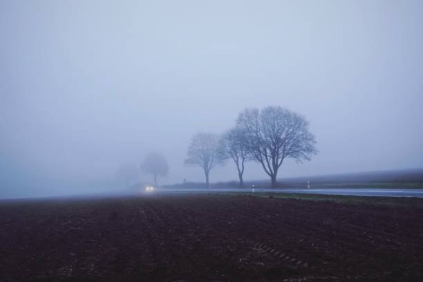 istock Foggy road in the country 1095602794