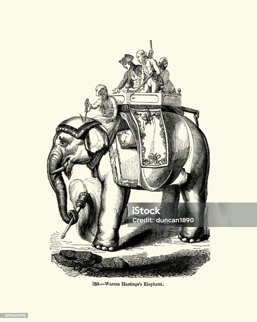 Warren Hastings's  Elephant, India, 18th Century Vintage engraving of Warren Hastings's  Elephant, India, 18th Century. Pictorial Museum of Animated Nature India stock illustration