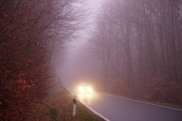 istock Car on a foggy forest road 1095603080