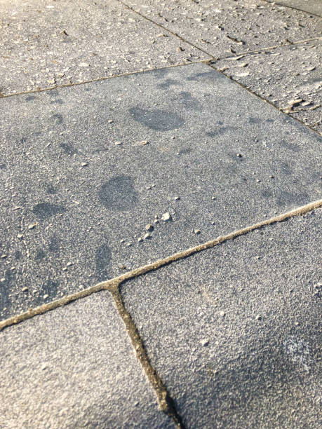 istock Green grass growing on the pavement tiles in the park 1095603502