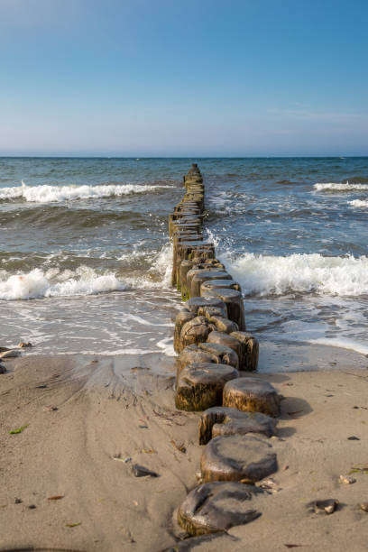 istock Wooden groynes on the Baltic Sea beach 1095605634