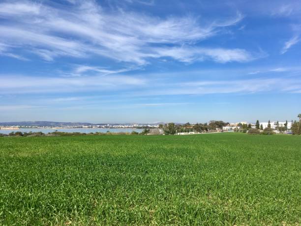 istock Village and field 1095613250