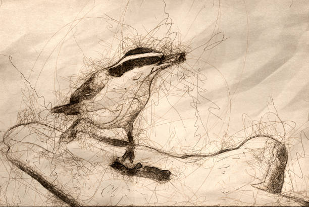 istock Sketch of a Red Breasted Nuthatch Eating From a Human Hand 1095617690