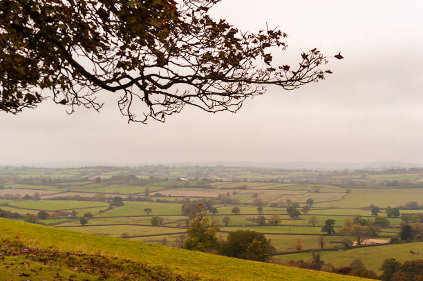 istock Autumnal rural landscape - a natural scenery 1095618716