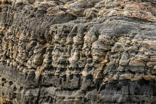 istock Blue Rocks Coast Lunenburg, Nova Scotia Canada 1095618812