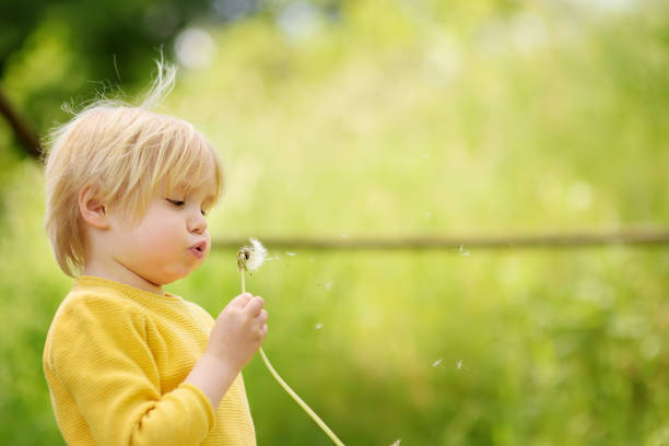 istock Charming blonde little boy playing with dandelion flower on summer day. 1095620652
