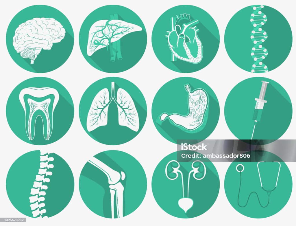Inre mänskliga organ set och medicinska instrument. vektor - Royaltyfri Ryggrad - Kroppsdel vektorgrafik