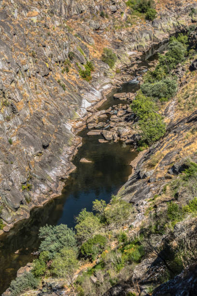 istock View of river Paiva, with vegetation around 1095626772