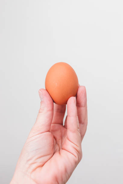 istock Hand of woman holding an egg 1095629278