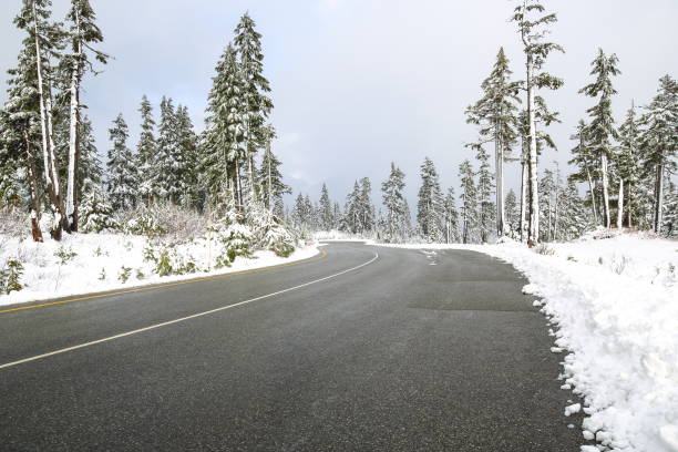 겨울, 미국 워싱턴에서에서 마운트 베이커 하이웨이 - picture lake 뉴스 사진 이미지