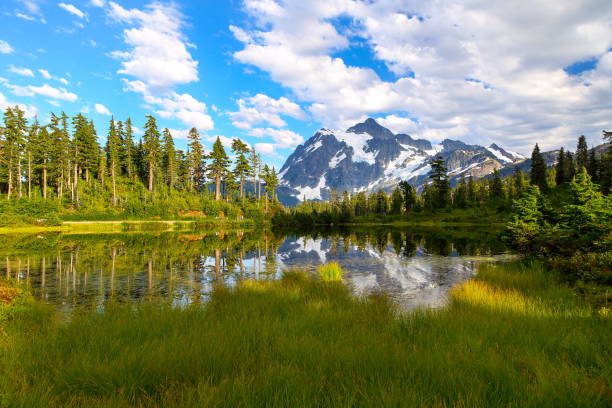 reflexión de mt shuksan en washington-estados unidos - lago picture fotografías e imágenes de stock