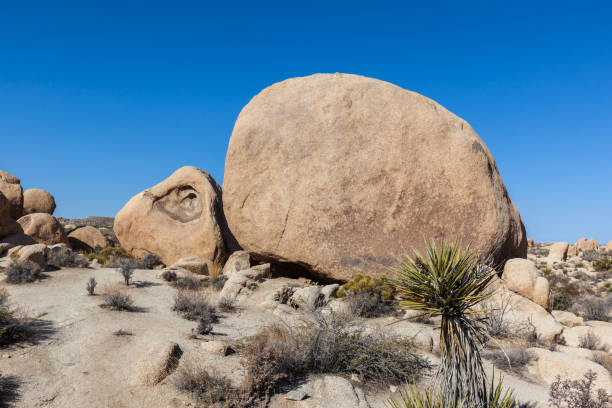 istock A rock that looks like a turtle 1095643656