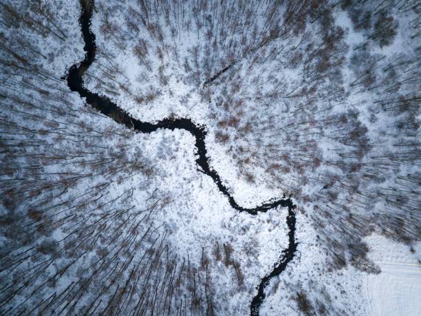 istock Winter forest with small river top down drone aerial 1095644992