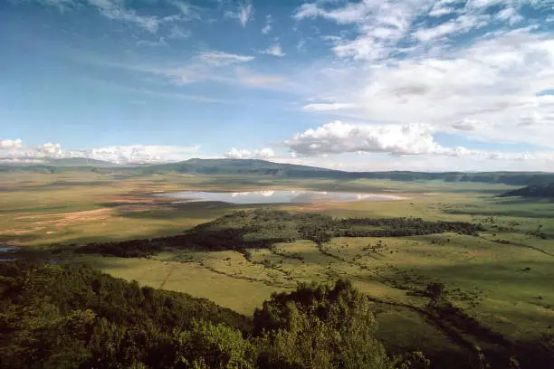 Ngorongoro Crater, Ngorongoro Crater Conservation Area, Tanzania, photographed from Ngorongoro Wildlife Lodge on the crater rim in 1975 shortly after the government lodge opened. Yellow fever trees of the Lerai Forest in front of Lake Magadi. Scanned film with grain.