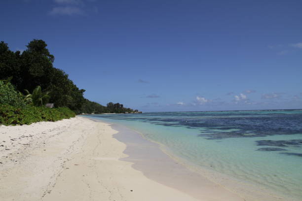 istock A white sand beach in the Seychelles 1095654482
