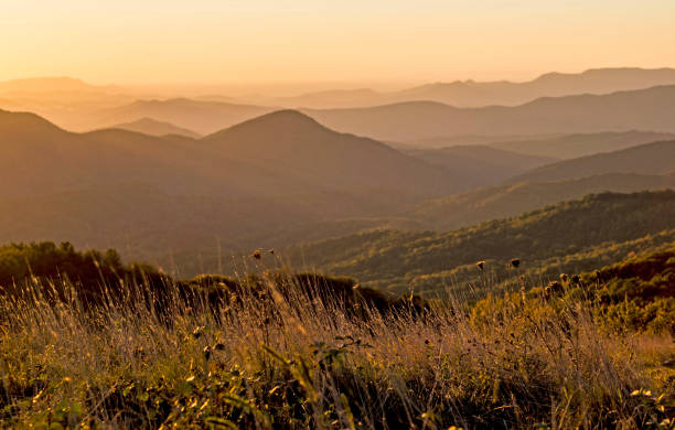 oro color atardecer sobre las montañas humeantes. - great appalachian valley fotografías e imágenes de stock