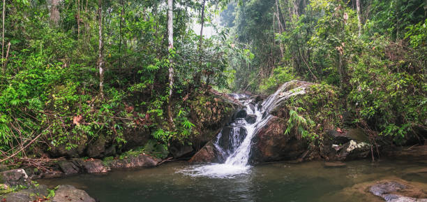 istock Waterfall at Thai Khao Lak-Lam Ru National Park 1095672674