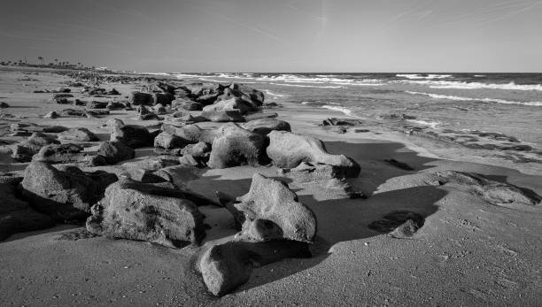Coquina outcropping on the Marineland Beach  at the River to Sea Preserve at 9805 N Ocean Shore Blvd in Palm Coast, Florida on December 7, 2018. Coquina rock is a mixture of shells and quartz sand--formed by nature hundreds of thousands of years ago.