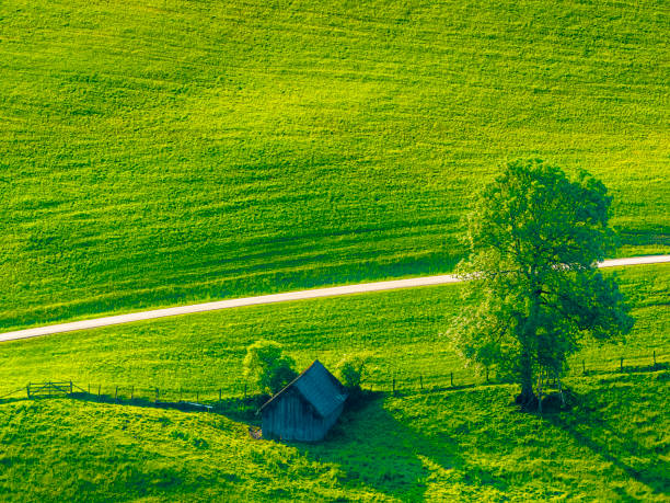Countryside farmland in the Mostviertel area of Austria