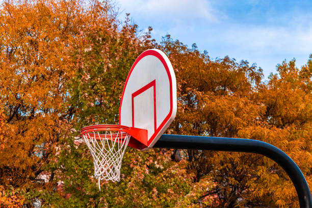 an old weathered basketball hoop, without a net, and weathered backboard, mounted on a wooden post, in a backyard overgrown with bushes and shrubs, Long Island, NY
