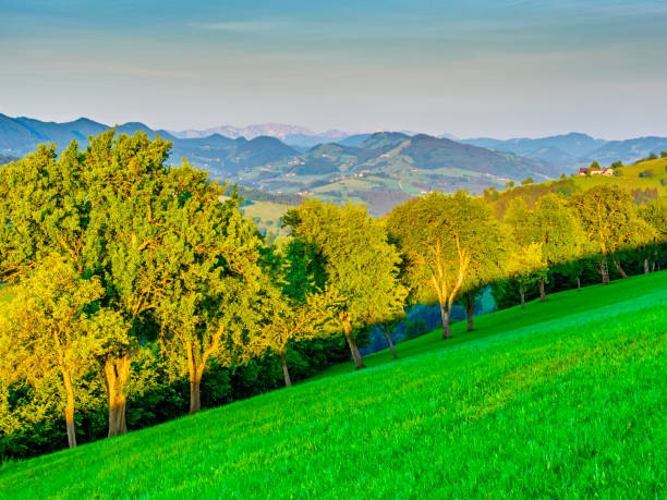 istock Mostviertel pear region of Austria 1095677628